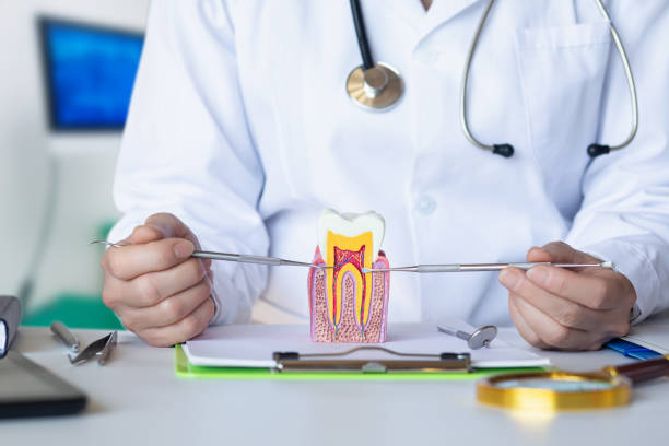 Best Emergency Root Canal Treatment in Tarboro, NC